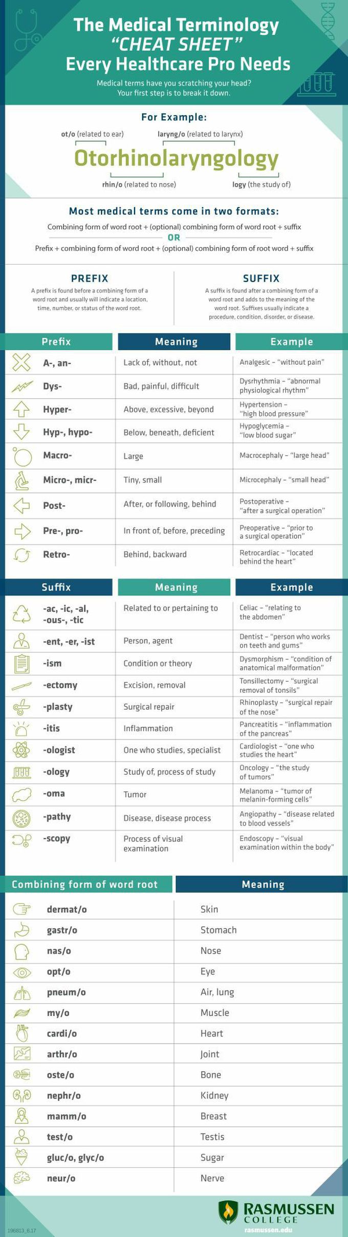 The medical terminology