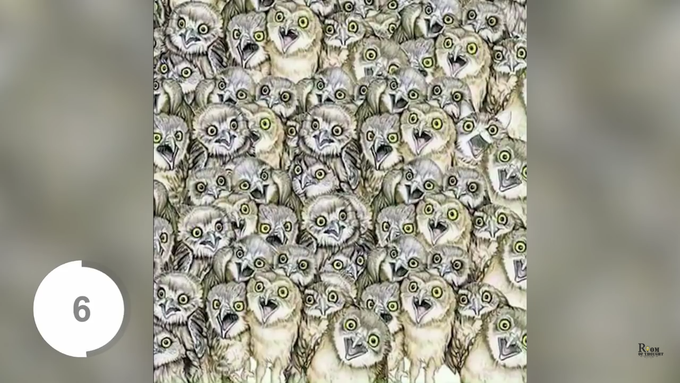 "Look the photo"                                            in this photo have one cat find out the cat talented persons medical students or doctors