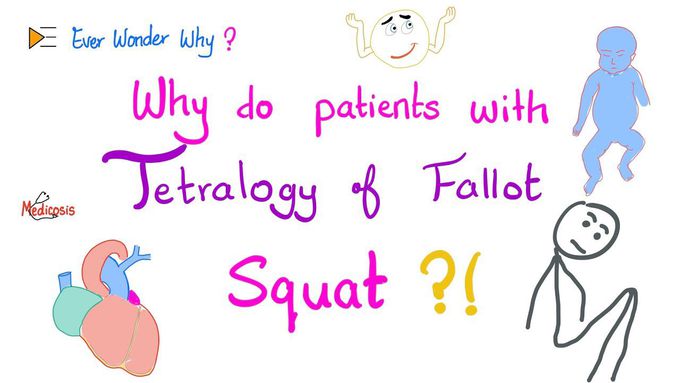 Tetralogy of Fallot (TOF) 😨 Patients Squat a lot…Ever Wonder Why? 🤷‍♂️