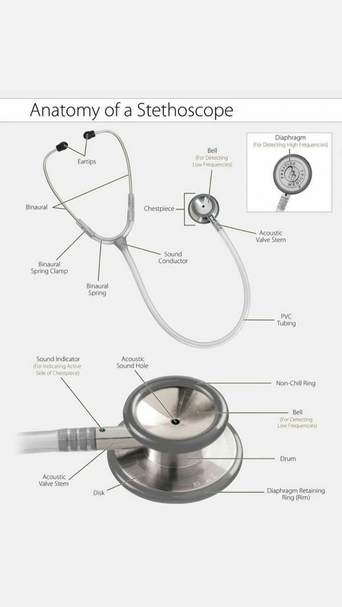 Anatomy of Stethoscope