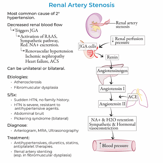 Renal Artery Stenosis