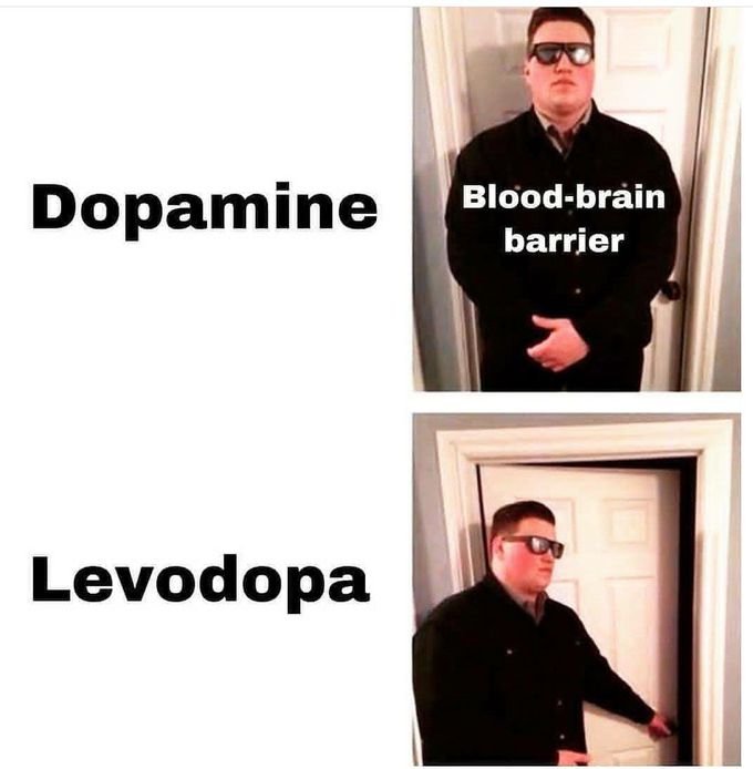 BLOOD BRAIN BARRIER