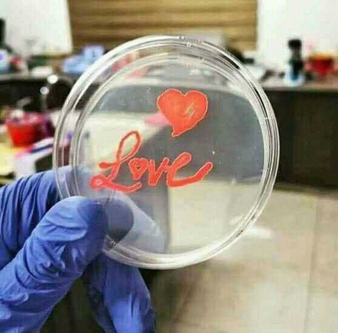 Microbiology LAB.