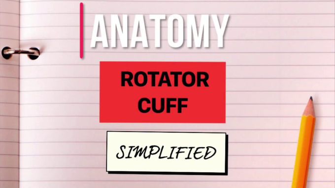 ROTATOR CUFF |MUSCULOTENDINOUS CUFF | ANATOMY