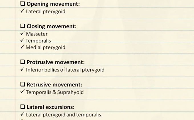 Muscles of Mastication- Functional Anatomy