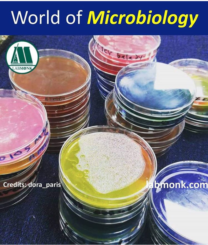 Microbiology world