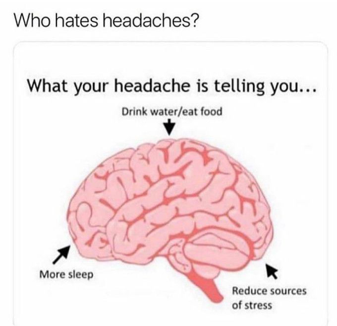 brain