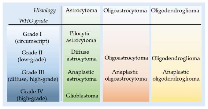 WHO Classification and Grading of Glial Cell Tumors