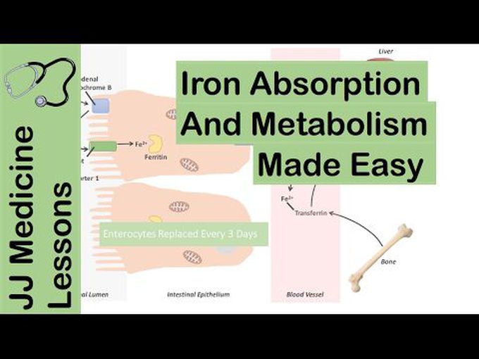 All about Iron - Biochemistry of minerals