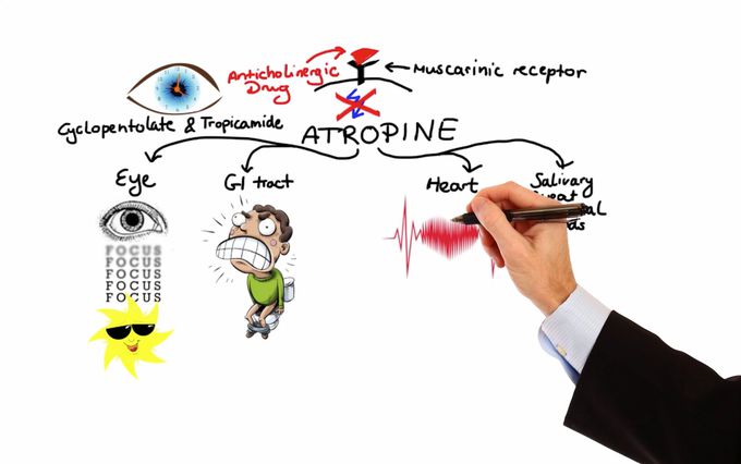 Anticholinergic and Neuromuscular Blocking Agents: Overview