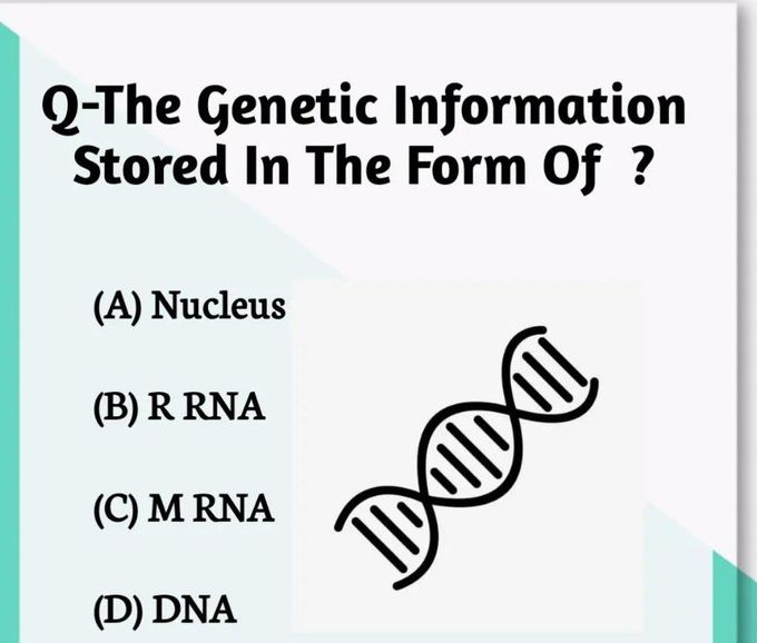 Identify the structure