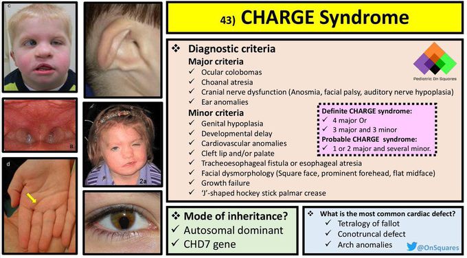 CHARGE syndrome