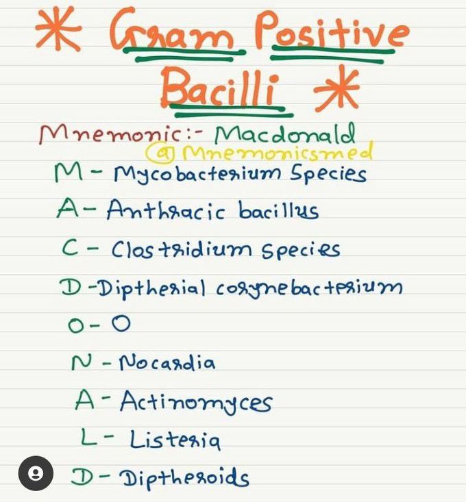 Gram positive bacilli