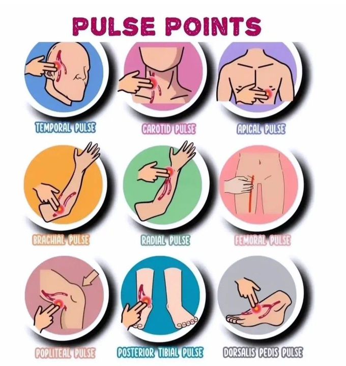 Pulse Points