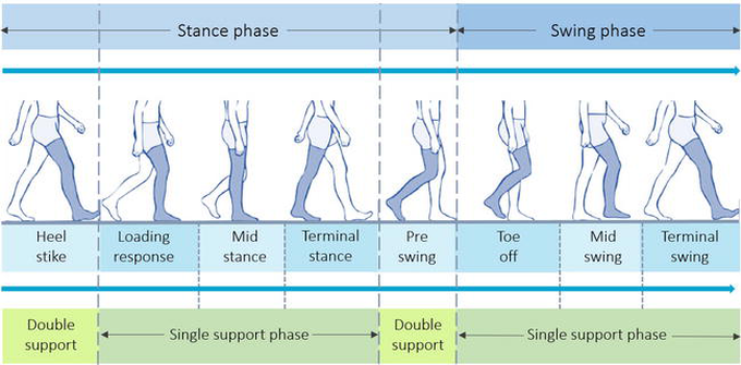 Gait Assessment