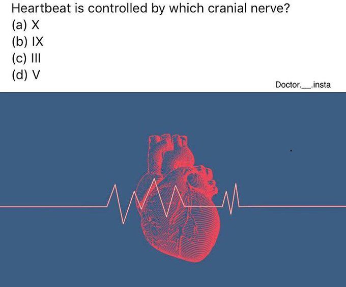 Which cranial nerve controls the heartbeat?