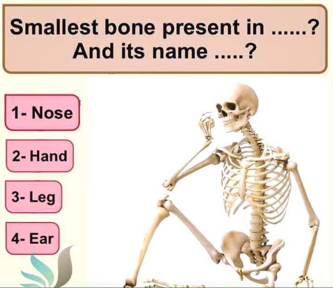 Answer????