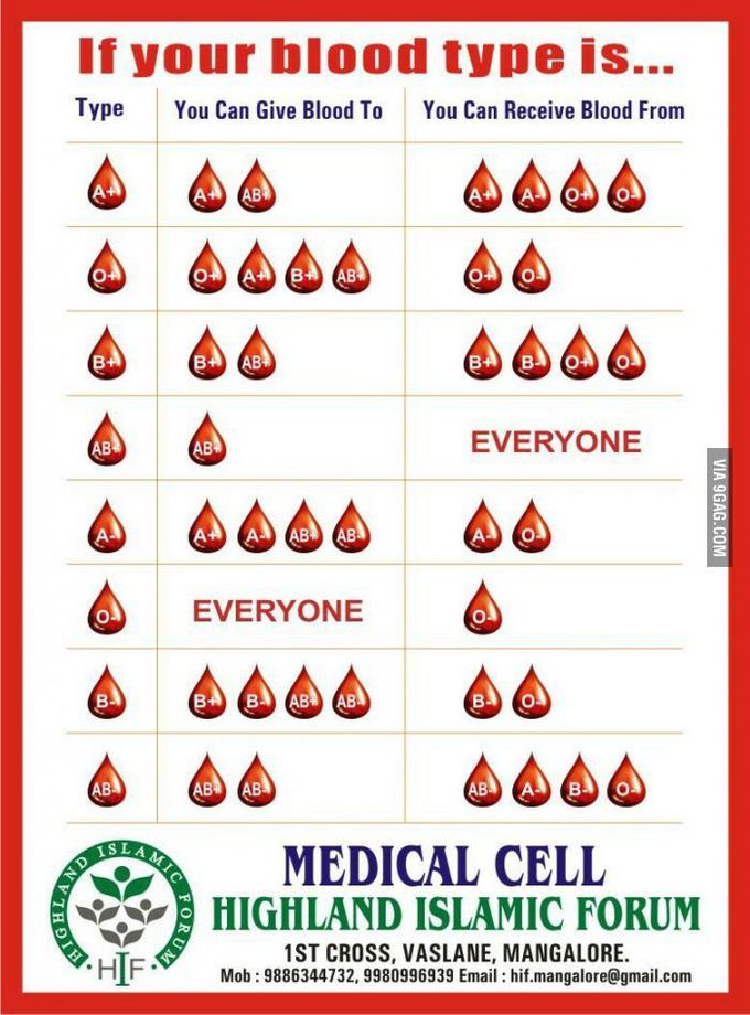 Blood