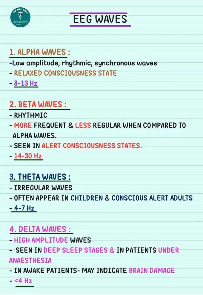 EEG Waves