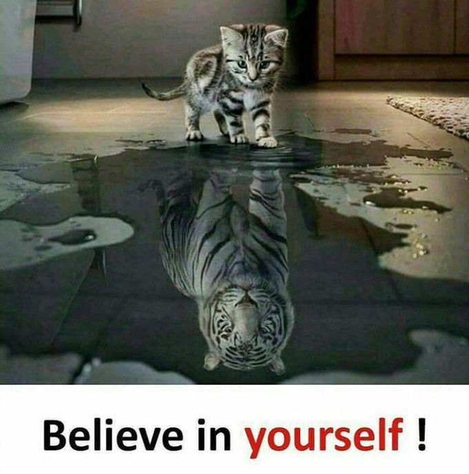 Confidence