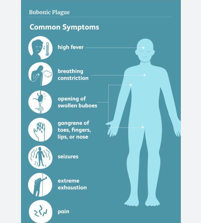 Symptoms of Bubonic plague