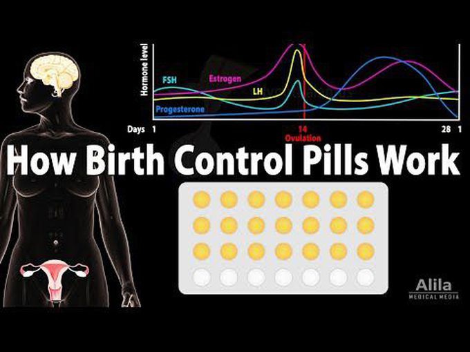Mode of Action of Birth Control Pills - Animated Video