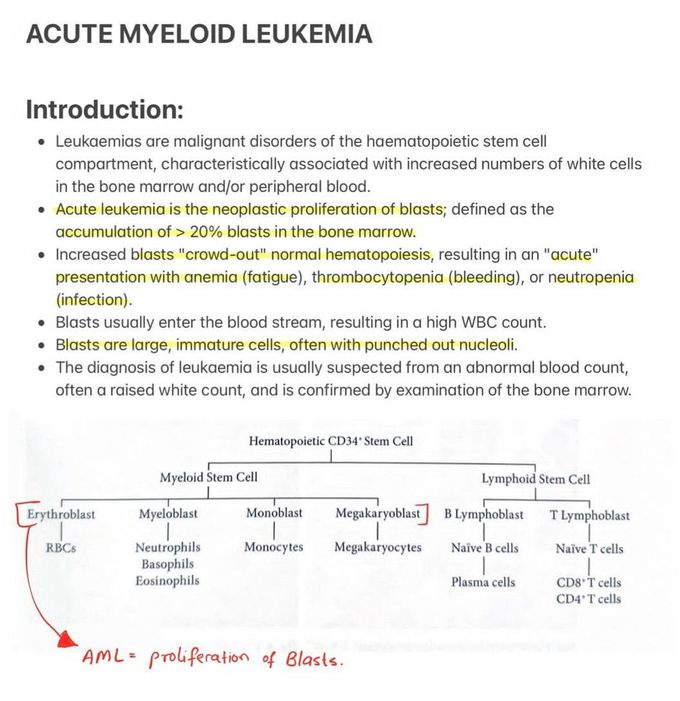 Acute Myeloid Leukemia I