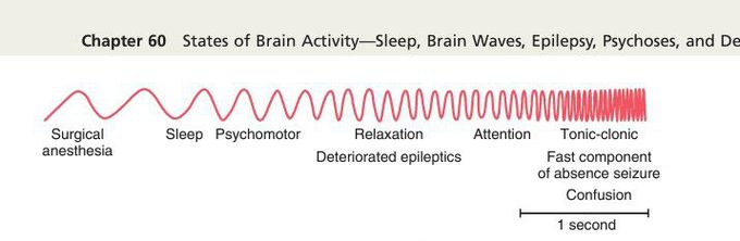 Basic rhythm of electroencephalogram