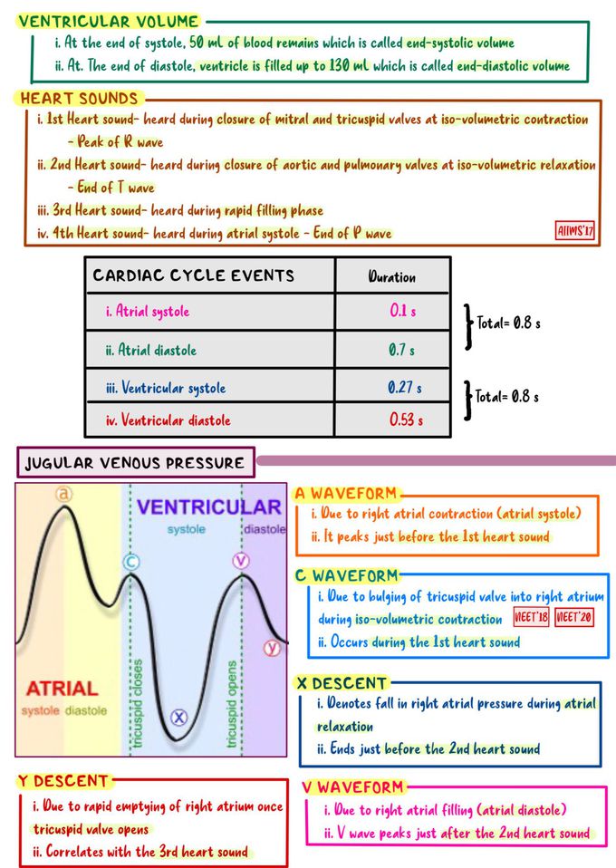 Physiology