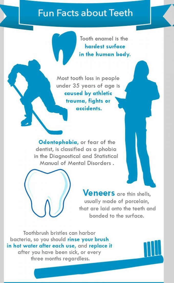 Fun fact about teeth