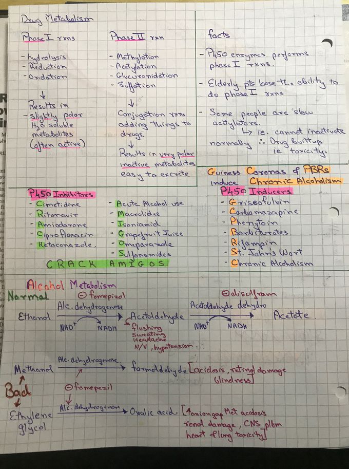 Drug metabolism, p450, Alc metabolism - MEDizzy