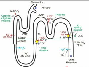 Simple diuretics medication DKMEDLIFE - MEDizzy