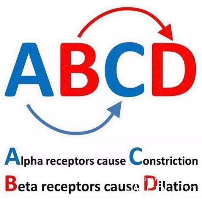 Alpha and beta receptor