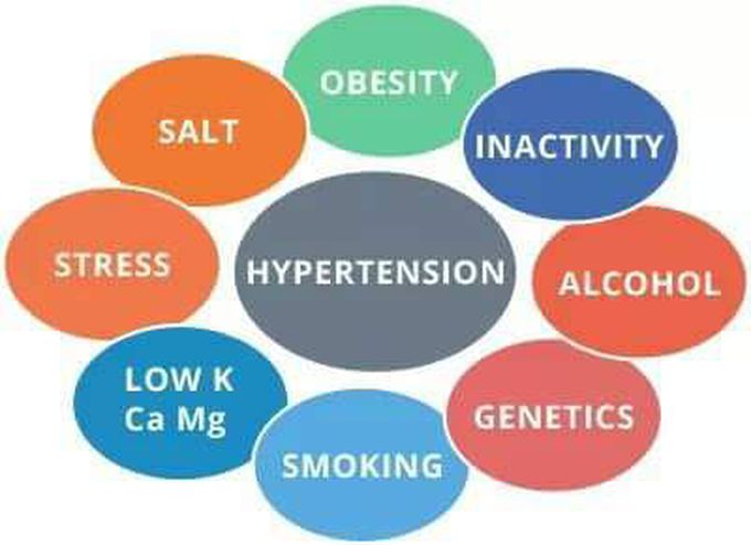 Cause and risk factor of hypertension