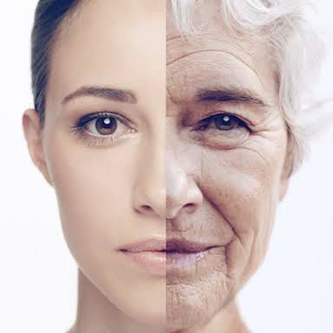 Genetic pathway disruption Reverses aging in human cells!!!!!!!!!