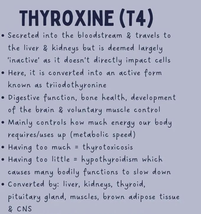 T4 Hormone