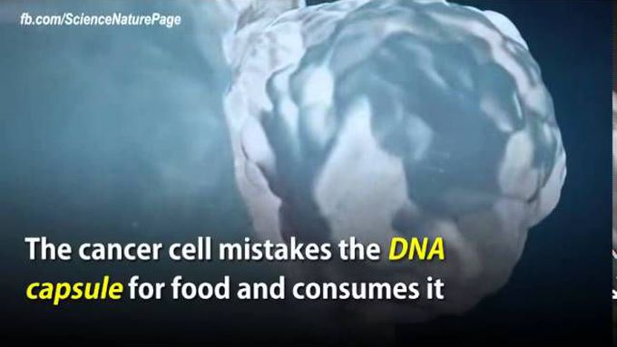 DNA Trojan horse approach for delivering anti-cancer drugs using DNA
