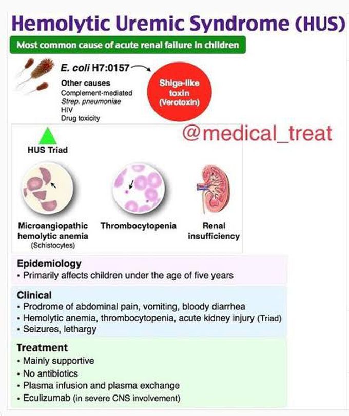 Hemolytic Uremic Syndrome