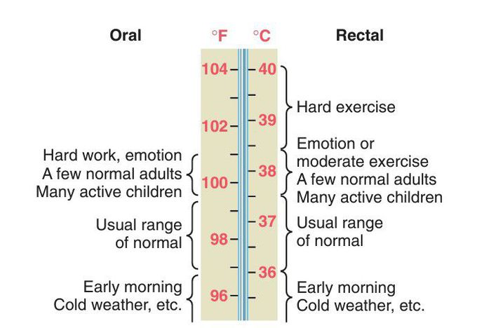 Normal Core Temperature.