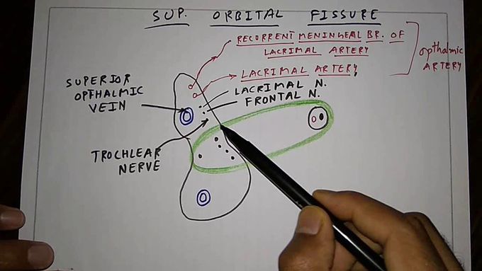 CONTENT (middle cranial fossa foramen) , part-4/5