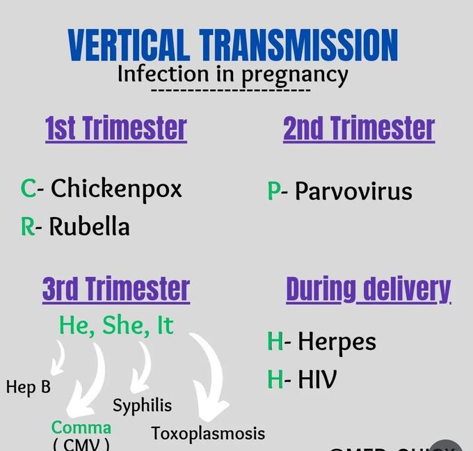 Vertical Transmission