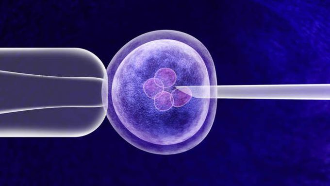 Researcher Claims Chinese CRISPR Babies Could Have Enhanced Learning Capacity