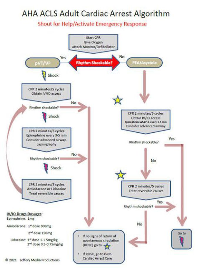 ACLS Adult Cardiac Arrest Algorithm