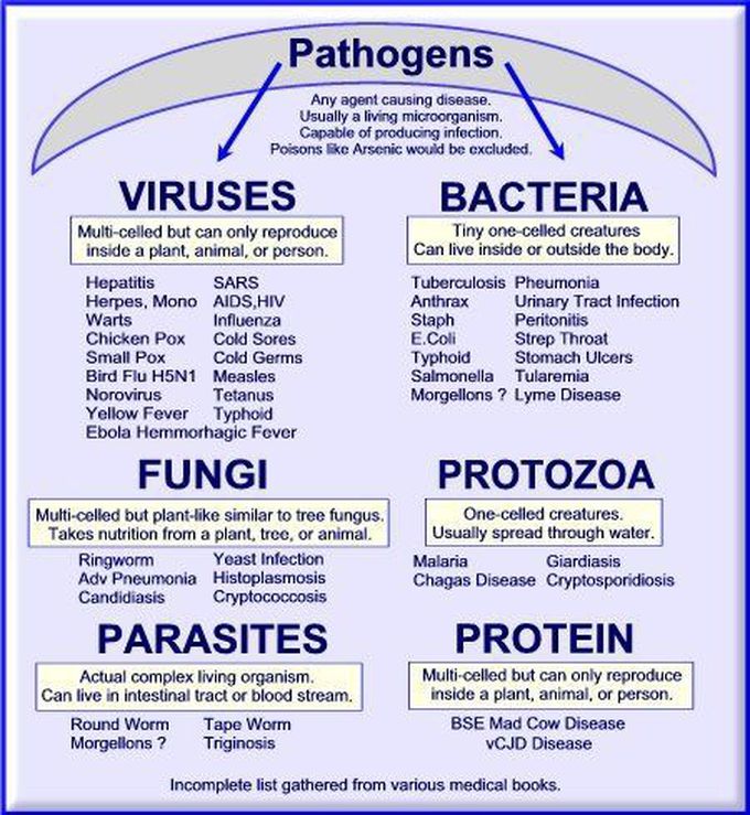 Understanding Pathogens