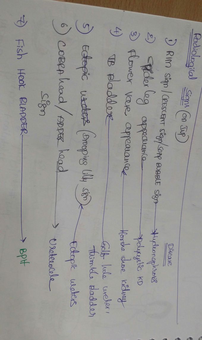 IVP signs of various urological conditions