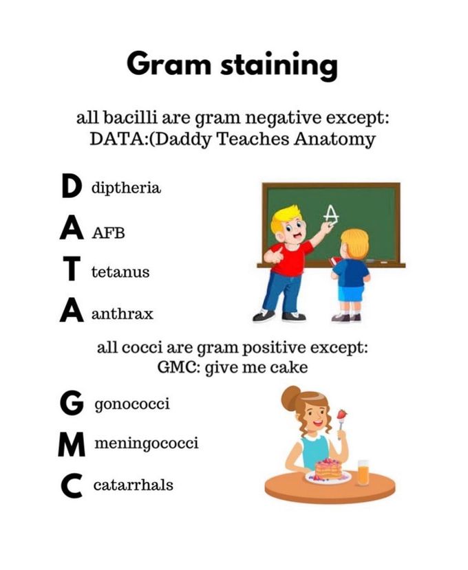 Gram staining