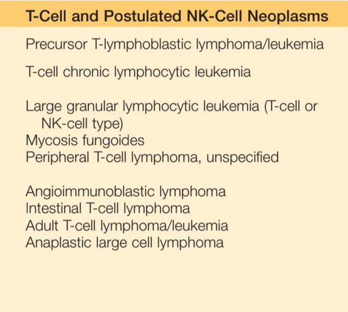T cell neoplasms