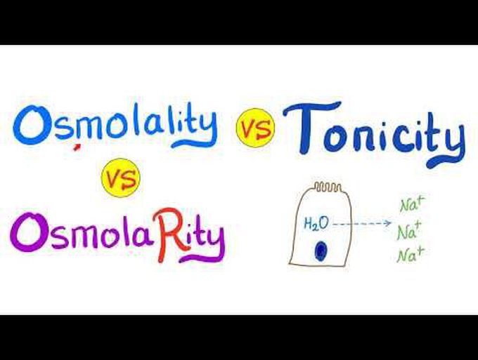 Basic principles of osmosis