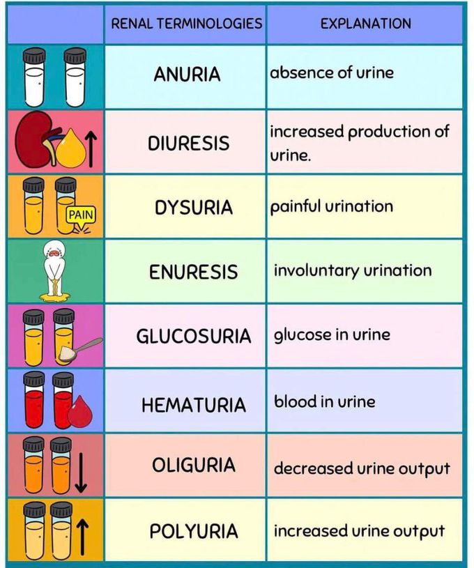 #UROLOGY🧫🧪🥼