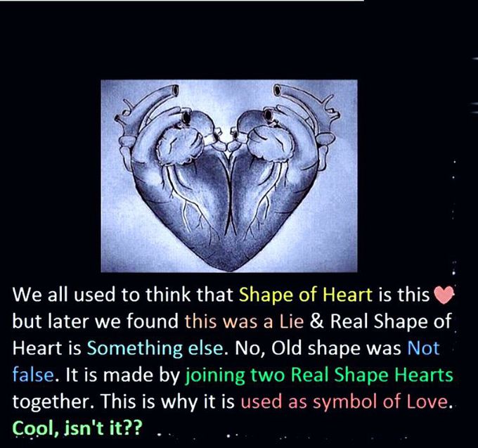 COOL, ISN’T IT..??